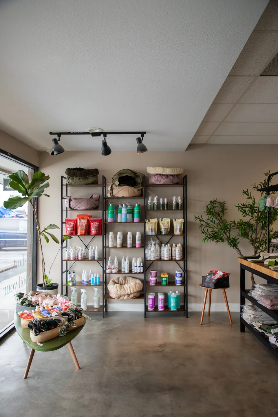 Natural light, plants, and product shelves inside Fur Seasons Dog Spa