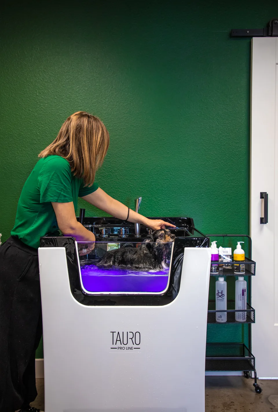 A groomer tending to a dog in the Tauro spa bath at Fur Seasons