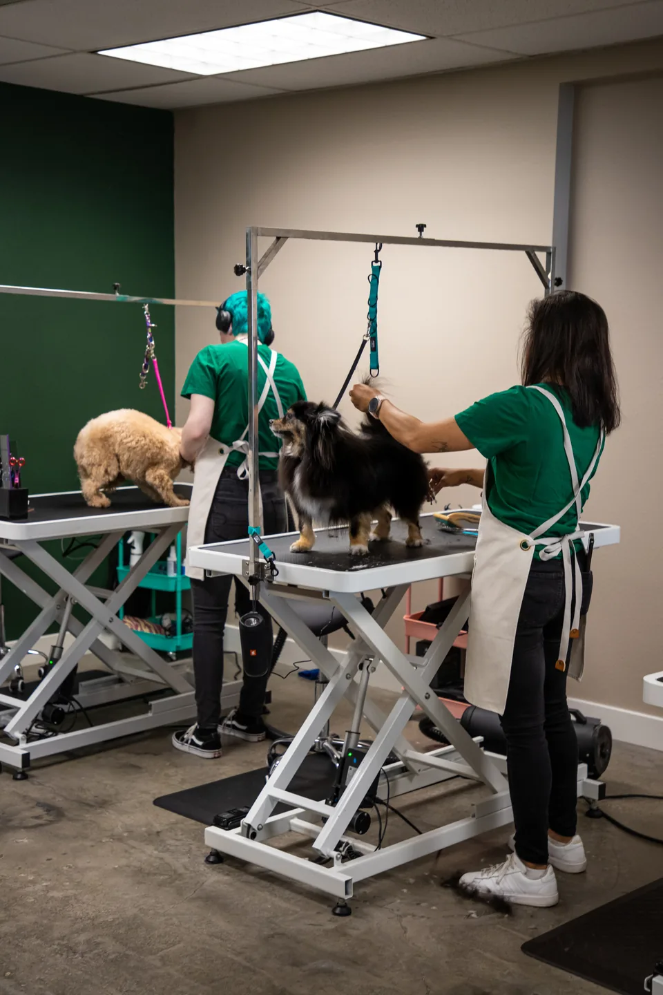 The Fur Seasons grooming team caring for dogs in the open salon